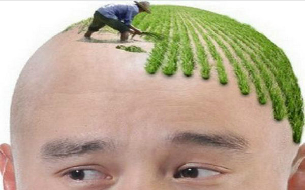 �^�l(f��)�Nֲ�g(sh��)�L(f��ng)�U(xi��n)�M(f��i)��