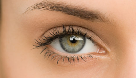 ȫ���p��Ƥ�ޏ�Ҫ�����X