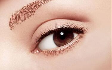 ȥ�۴���ȫ��