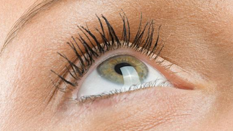 �{���p��Ƥ�����X