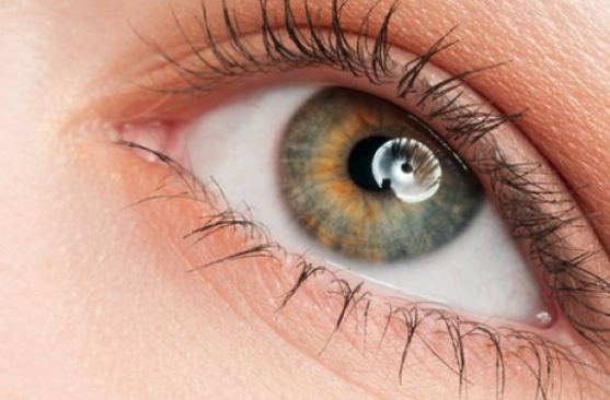 �����p��Ƥ�����