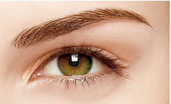 �ؑc�p��Ƥ���g�F��