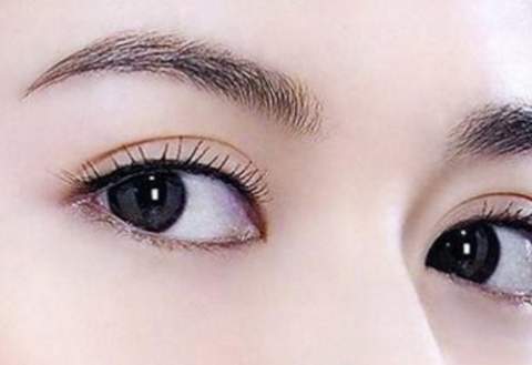 �ؑc���p��Ƥ�����X