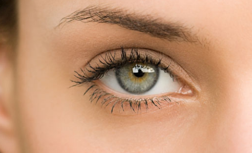 ���p��Ƥ���M��