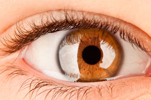 ΢���o���p��Ƥ��ô��