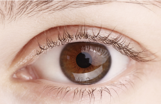 ΢���p��Ƥ�̺����@��