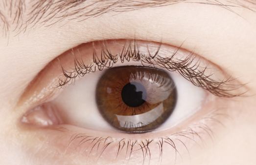 �_�p��Ƥ��Ļ֏���