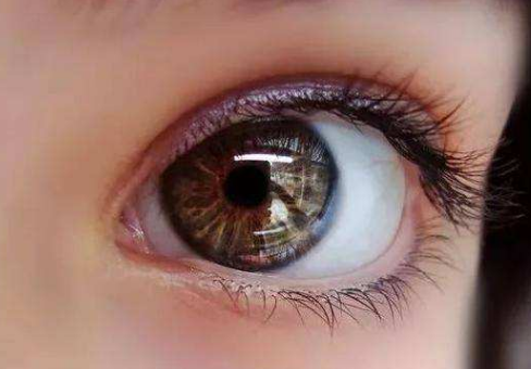 �۲��񾀎������[