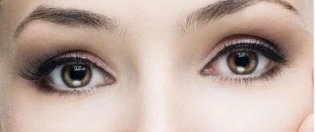 �p��Ƥ�ޏ����g�ăr�X