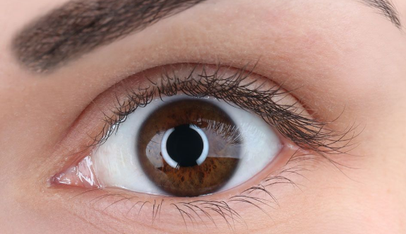 ���p��Ƥ�񾀵��ί��M��