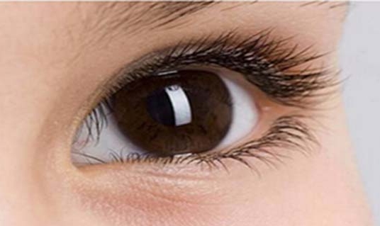 ���p��Ƥ��ο������[