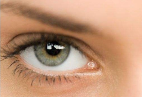 �p��Ƥ�ޏ����g����ʲô������