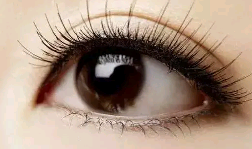 �_�p��Ƥ�������ĺ�