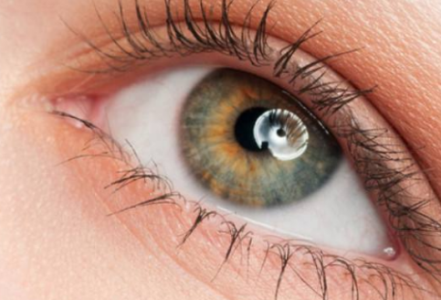 ���۾��������[