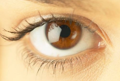 ���۾��g���o������