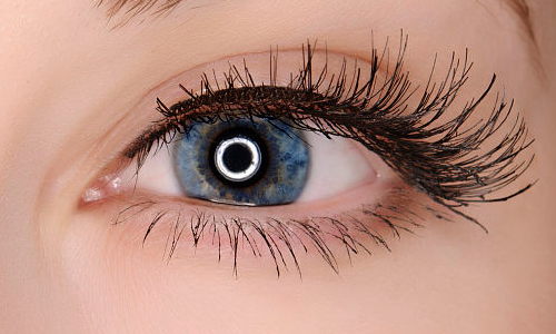 ���۾��������ܻ֏�