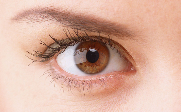 �p��Ƥ�ޏ����g�M���Ƕ���