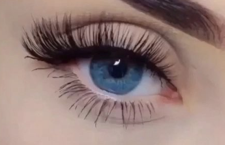 �p��Ƥ�ޏ����g�֏���