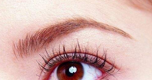 �_�p��Ƥ�[��