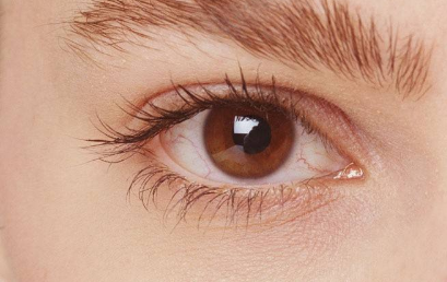 �p��Ƥ���εăr�X