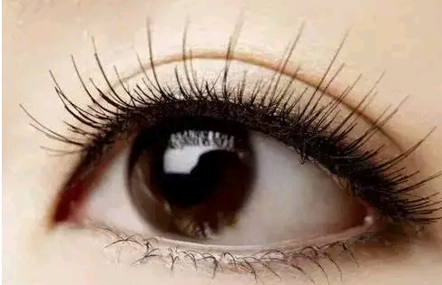 ���p��Ƥ������