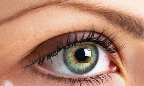 �_�p��Ƥ��̎