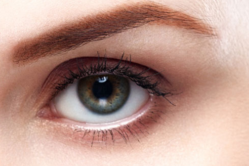 �p��Ƥ�ޏ����g�ò��ñ���