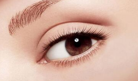 ���p��Ƥ�񾀺ÿ���