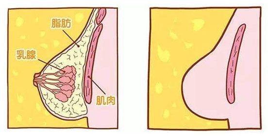 �s����ʲôΣ��