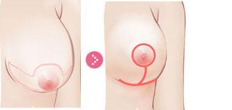 ����sС���g��ȫ�����