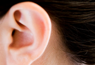 ���������Ҫ�����X