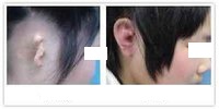 ���������g(sh��)��Ҫ�����