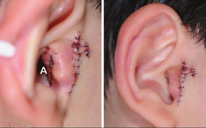 ��������������г���Ҫ�����X Ч���Æ�