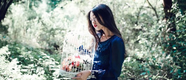 ����һ�������y���y��