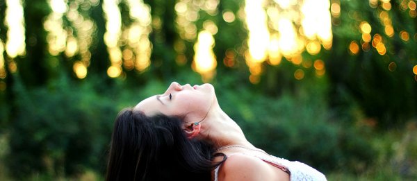 ��Щ�����������g(sh��)�C�����@��N횳C���Ķ���