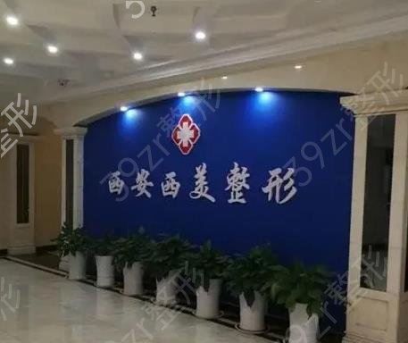 ���������t(y��)Ժ����ǰʮ���_����