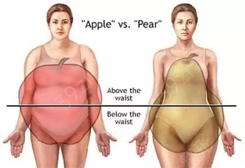 ����Ӣ����ҫ�s֬���S����ô��
