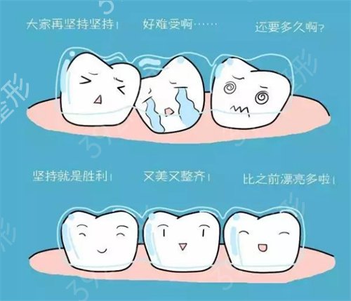 �ɶ����������X�����ֺ�