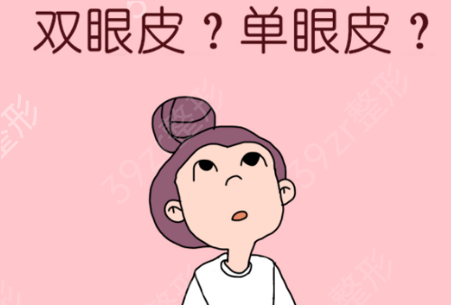 �Ĵ�ʡ�����t(y��)Ժ�������x�Ă����p��Ƥ���ĺ�