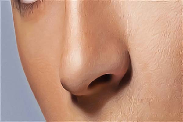�Ϸ������t(y��)Ժ����ǰʮ��,��õĺϷ������t(y��)Ժ���]