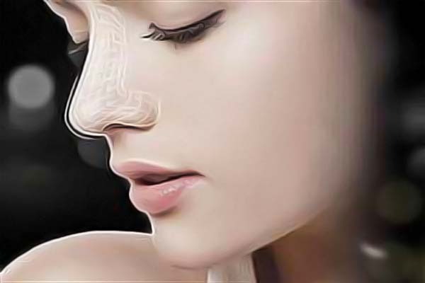 �V��ˇ���n���t(y��)�������t(y��)Ժ�r���