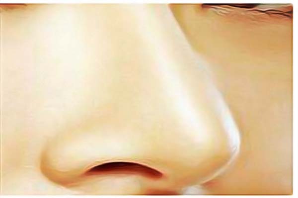 �V�������t(y��)Ժ�����������