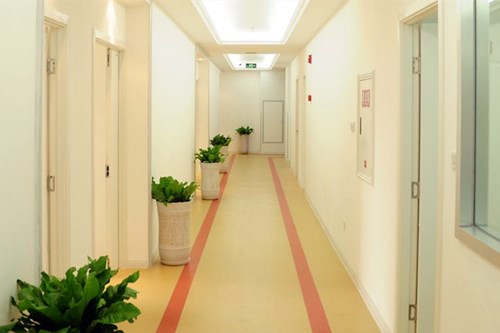 �|ݸ�����������tԺֲ�l��