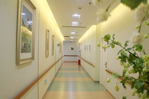 �o�a�������������tԺ