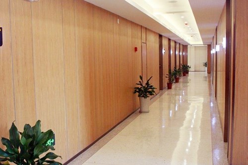 �Ͼ��t�ƴ�W�ڶ������tԺ��ǻ��