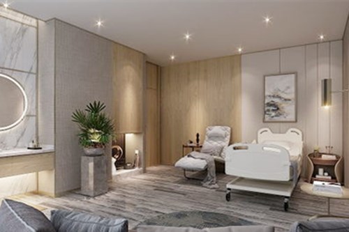 ���u�������tԺ�����������ݿ�